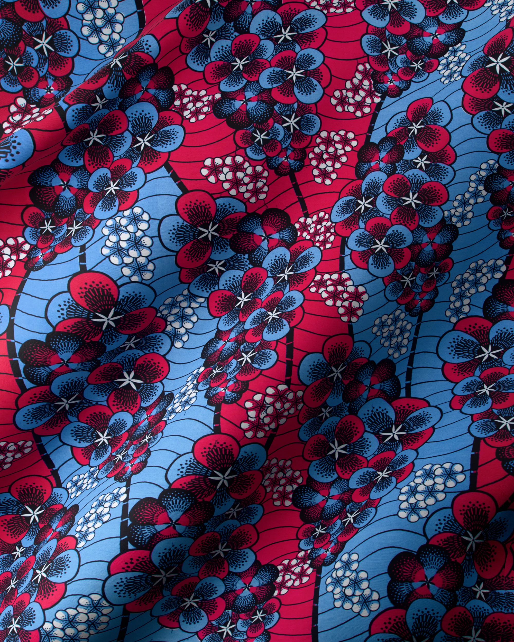 Wax Hollandais | VLW1293.003