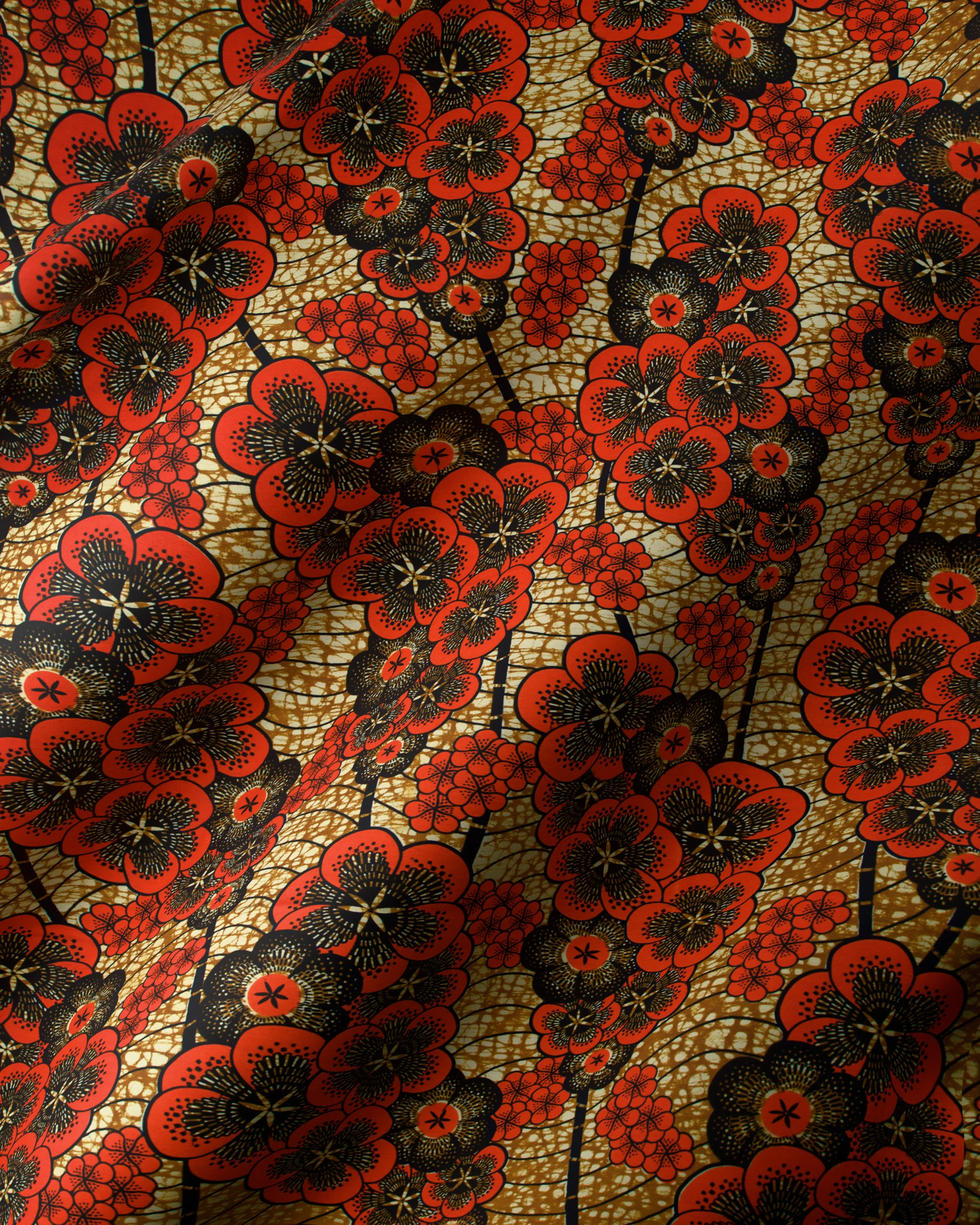 Wax Hollandais | VLW1293.005