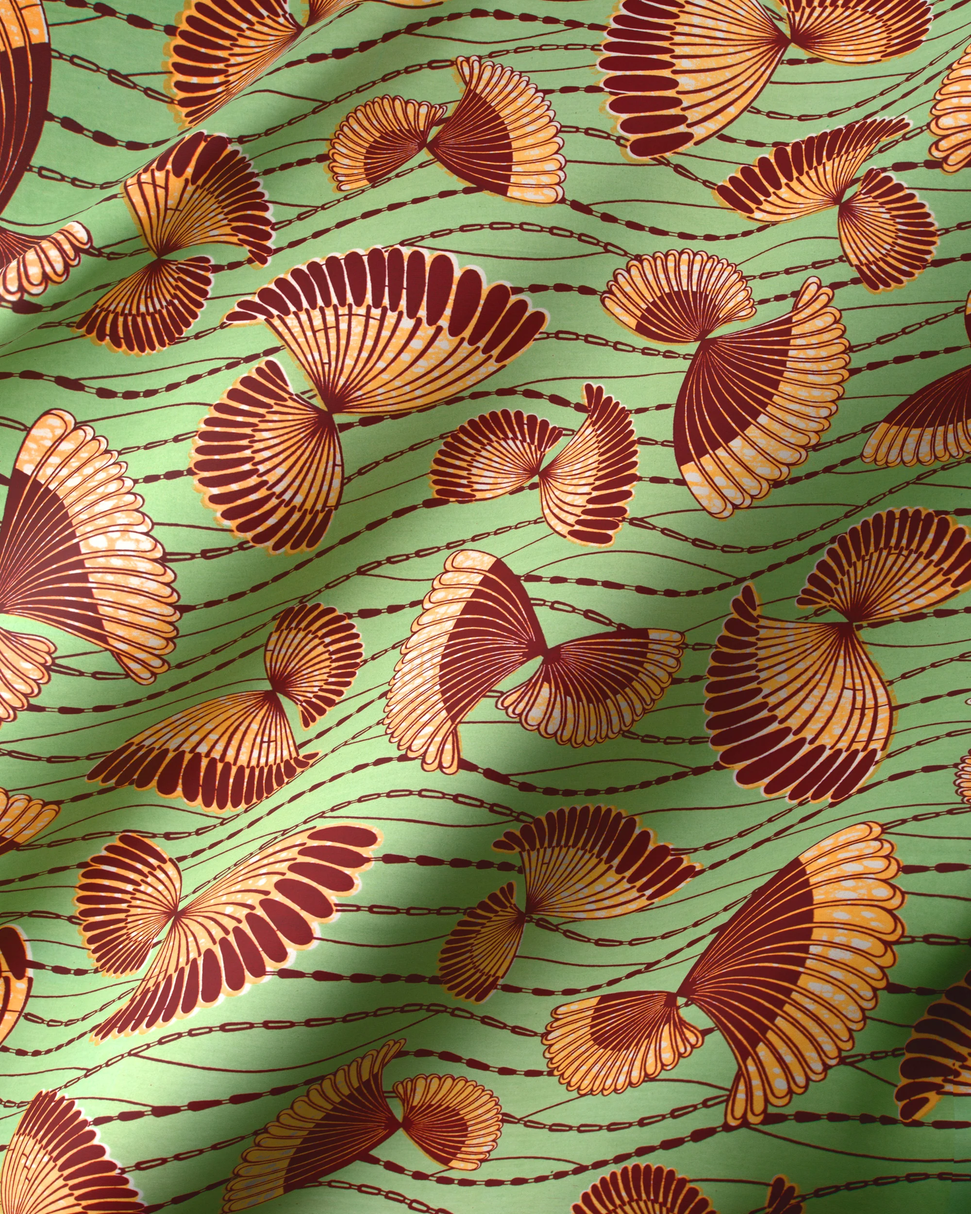 Wax Hollandais | VLW5154.003